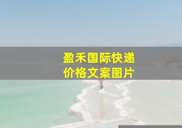 盈禾国际快递价格文案图片