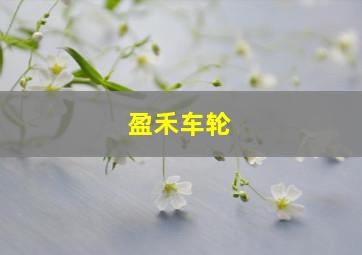 盈禾车轮